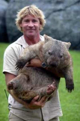 The late Steve Irwin with a more peaceful wombat.