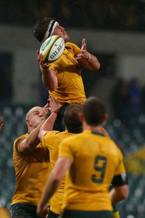High time: Kane Douglas in action for the Wallabies. His family has joined him on the spring tour.