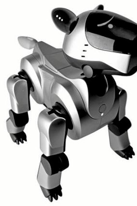 ''Everyone is looking for the next Sony Aibo.''