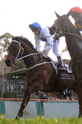 Smoking Aces (left), ridden by Nikolic, at Seymour yesterday.
