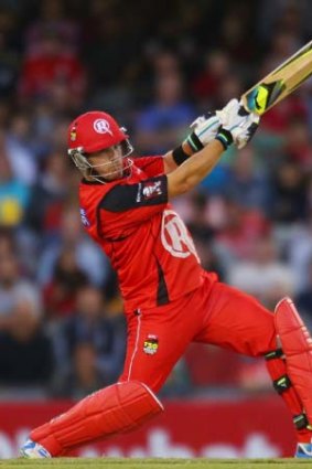 Stop that: Aaron Finch plays a lusty drive on his way to 81.