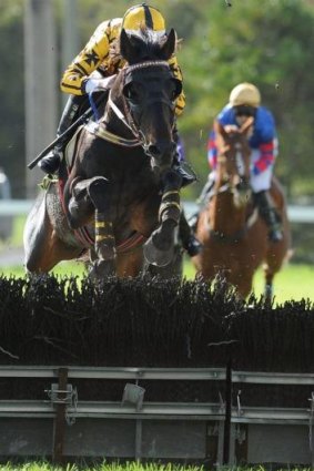 Gotta Take Care clears the last hurdle on the way to winning the Galleywood Hurdle.