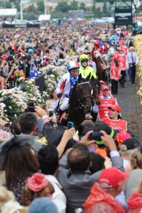 Damien Oliver rides Americain out to the barriers for the Melbourne Cup on Tuesday. It turned out to be the last run for the former champion.