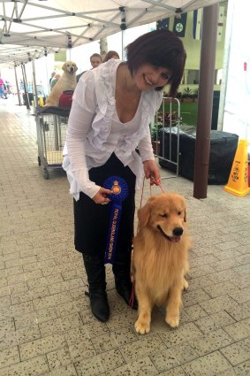 Dog trainer Anthea Adamopoulos with James, who won Best Golden Retriever at the 2014 Ekka.