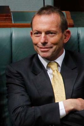 Tony Abbott ... "The whole Robin Hood rhetoric may not be borne out."