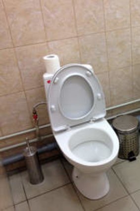One of the pictures that have gone viral and caused Games organisers' much embarrassment: two female toilets side by side within the same cubicle.