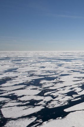Floating Arctic sea ice naturally melts and refreezes annually, but the speed of change has shocked scientists.
