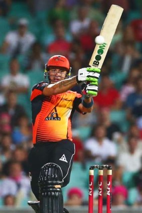 Heave ... Herschelle Gibbs strikes a blow for the Scorchers in a low-scoring match at the SCG on Sunday night.