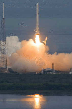 The SpaceX Falcon 9 rocket lifts off on its debut launch from Cape Canaveral Air Force Station in Florida . Photo: Reuters