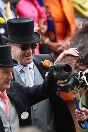 You beauty ...  Peter Moody and Neil Werratt celebrate with Black Caviar after her win.