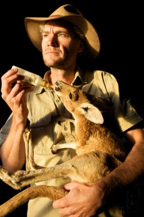 Worth bottling: <i>Kangaroo Dundee</i> documents Chris 'Brolga' Barnes' dedication to the welfare of orphaned joeys on his Northern Territory sanctuary.