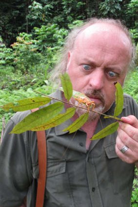 Wild time: Bill Bailey goes jungle.