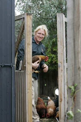 Canny gardener: Hendrik Van Leeuwen visits the chook pen in his Hughesdale backyard.