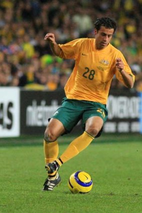 Fortunate ... Socceroos striker Alex Brosque.