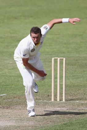 Waiting in the wings: Veteran paceman Peter Siddle.