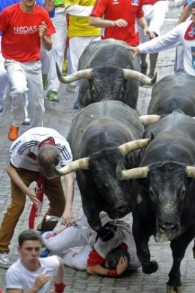 A reveller falls in front of  the bulls during the last bull-run of the San Fermin Festival.