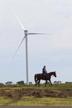 On the rise: Wind farms lifted their share of the market to 4.4 per cent.
