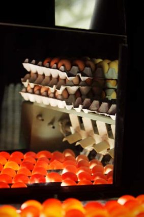 "Consumers are questioning where and how eggs are produced."