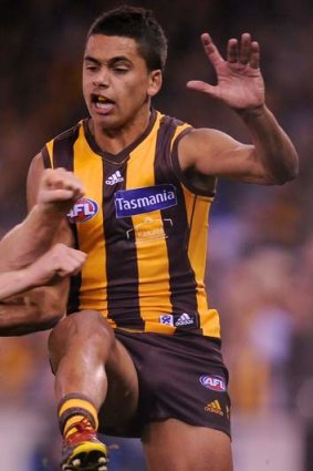Brotherly love: Bradley Hill lines up against brother Stephen in AFL's grand final on Saturday.