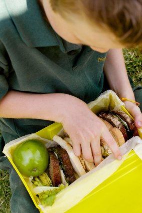 A new curriculum will outline the importance of good food and healthy habits for long-term health.