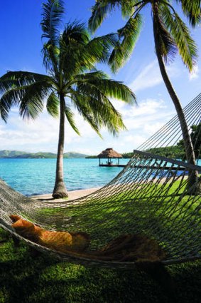 Dolphin Island, Fiji.