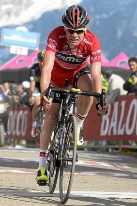 Feeling the strain: Cadel Evans is running second overall in the Giro d'Italia as the peloton enters the gruelling Alpine stages.