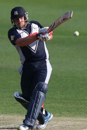 Aaron Finch in action for the Bushrangers.