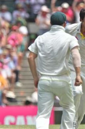 Destroyer: Mitchell Johnson took 37 wickets in five Tests, four short of Rodney Hogg's record of 41 over six matches.