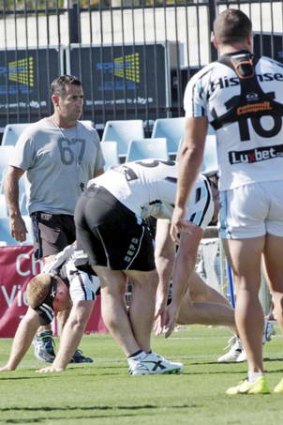 Distractions: Sharks coach Shane Flanagan.