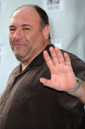 A pilot drama starring deceased actor James Gandolfini will not be run, according to US cable show.