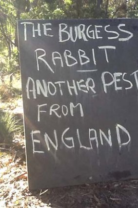 Pest control &#8230; not everyone is enjoying the influx of Burgess boys into Souths' burrow.