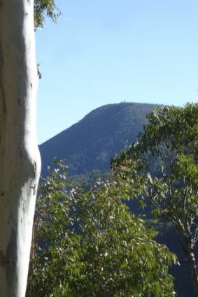 Black Jack Mountain as viewed from the Ogilvies Creek fire trail.