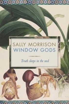 Immediately funny: <I>Window Gods</I> by Sally Morrison.