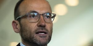 Greens leader Adam Bandt is sticking by his call for a ban on new coal and gas projects in return for backing Labor’s climate bill.