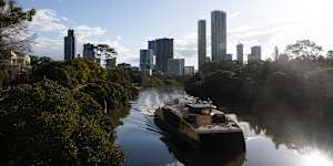 The Parramatta River is being regenerated.