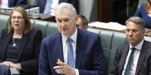 Industrial Relations Minister Tony Burke.