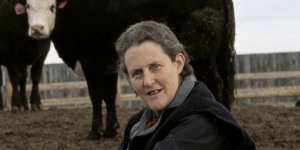Temple Grandin,an American academic and animal behaviourist,was one of the first prominent people to disclose that she was autistic. 
