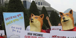 ‘Undermining our international image’:Dog meat harder to swallow for Koreans