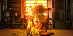 The lab where everything is set alight to help save us from bushfires