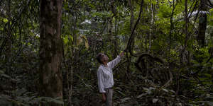 Ricardo Rodrigues,a professor and a co-founder of the forest restoration company Re.green,shows a monkey ladder vine in Maracaçumé,Brazil.