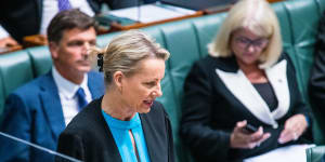 Sussan Ley claims Labor using the Voice to wedge the opposition