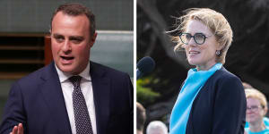 Former Liberal Goldstein MP Tim Wilson and the current independent member,Zoe Daniel. 