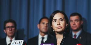Acting Premier Prue Car said the state government was leaving all options on the table in tackling domestic violence. 