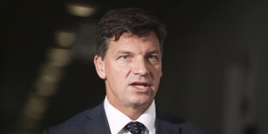 Energy Minister Angus Taylor says the government can “meet and beat” its emissions targets commitments.