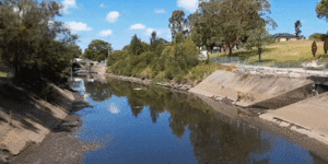 How Sydney’s most toxic river is fighting back