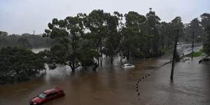 The report didn’t examine the recent floods but noted that extreme weather is battering ecosystems.
