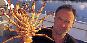 Something fishy ... crayfish bounty off Limestone Coast