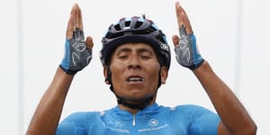 Quintana escapes serious injury after being hit by car