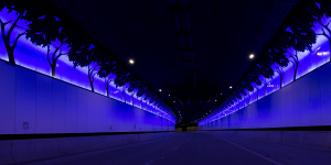 Lighting displays featuring native birds and trees are dispersed throughout the tunnel.