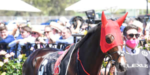 Weights of a nation:What the contenders will be carrying into the Melbourne and Caulfield Cups